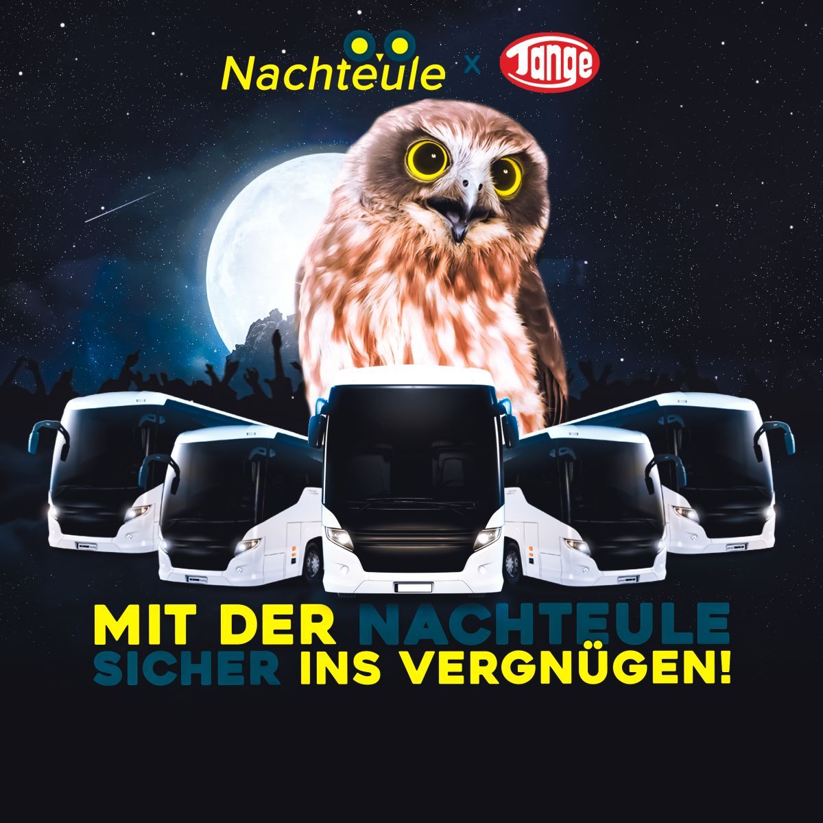 Nachteule